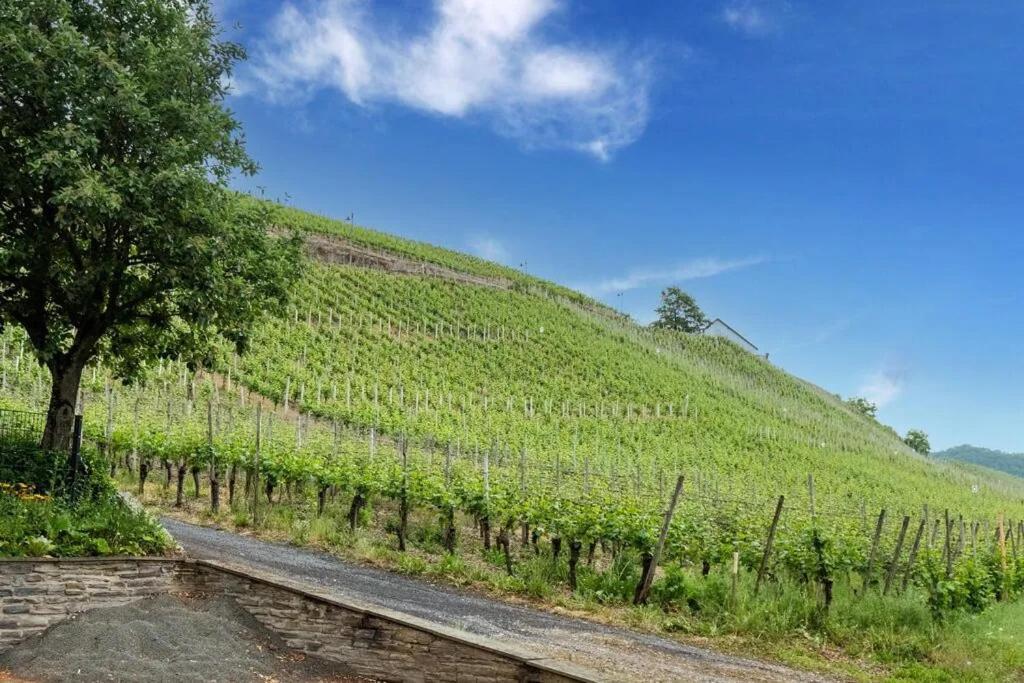 KinheimMoselblick公寓 外观 照片